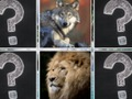 Jogo Animais da selva do fósforo da memória  online
