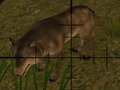 Jogo Caçadores de Animais  online