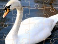 Jogo Desafio do enigma do cisne  online