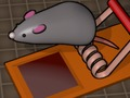 Jogo Alimente o mouse  online