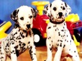 Jogo Quebra-cabeça de pares de cachorrinho  online