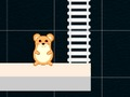 Jogo Hora do Hamster Inteligente  online