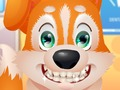Jogo Dentista de filhote de cachorro bonito  online