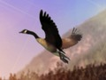 Jogo Caçador de patos online
