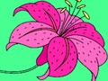 Jogo Cor feliz online