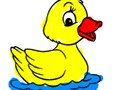 Jogo De volta à escola: livro de colorir de patos  online
