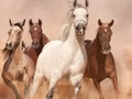 Jogo Cavalos de cavalos online