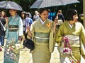 Jogo 100 borboletas no Japão  online