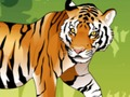 Jogo Coloração de tigre raivosa online