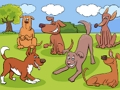 Jogo Diferenças Animais  online