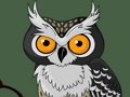 Jogo Memória de coruja fofa online