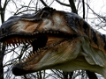 Jogo Jigsaw de dinossauro T-Rex online
