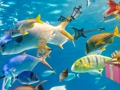 Jogo Objetos ocultos: slide tropical  online