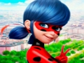 Jogo Coleção de quebra-cabeças LadyBug  online