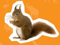 Jogo Casa de Animais  online