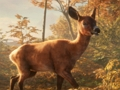 Jogo Simulador de estacionamento Safari Jeep: aventura na selva  online