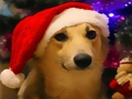 Jogo Cães engraçados de natal  online
