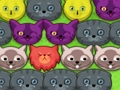 Jogo Gatinhos pop-pop  online