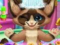 Jogo Banho de gatinho  online