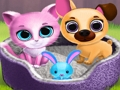 Jogo Amigos de estimação fofos  online