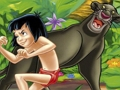Jogo Coleção de quebra -cabeças de livros na selva online