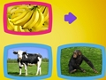 Jogo O que os animais comem?  online