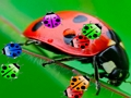 Jogo Joaninha Match 3  online