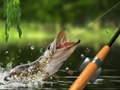 Jogo Captura matinal  online