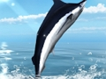 Jogo Azure Sea Fishing online