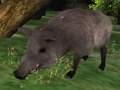 Jogo Jigsaw para caça ao javali  online