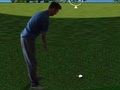 Jogo Flash Golf 3D  online