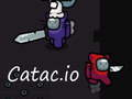 Jogo Catac. io  online
