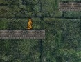 Jogo Aventura de coelho  online
