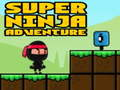 Jogo Super Adventure Ninja online