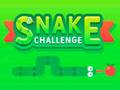 Jogo Desafio Cobra  online