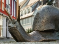 Jogo Escultura Caracol Jigsaw  online
