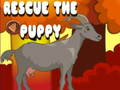Jogo Resgatar o cachorro  online