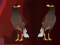 Jogo Fuga do Pato Peikin  online