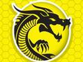 Jogo Kung fu fury online