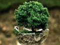 Jogo Ambiente Jigsaw  online