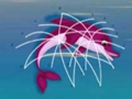 Jogo Resgate de golfinhos online