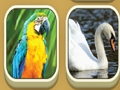 Jogo Combinar zoológico online