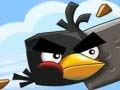 Jogo Pássaros loucos  online