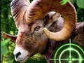 Jogo Caçador de cabras louco 2020  online