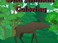Jogo Colorir Animais Selvagens  online