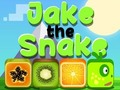 Jogo Jake A Serpente  online