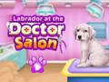 Jogo Labrador no salão médico  online
