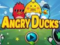 Jogo Patos Furiosos  online