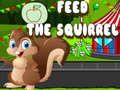 Jogo Alimente o esquilo  online