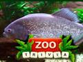 Jogo ZOO Curiosidades  online